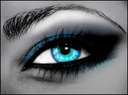 le regard